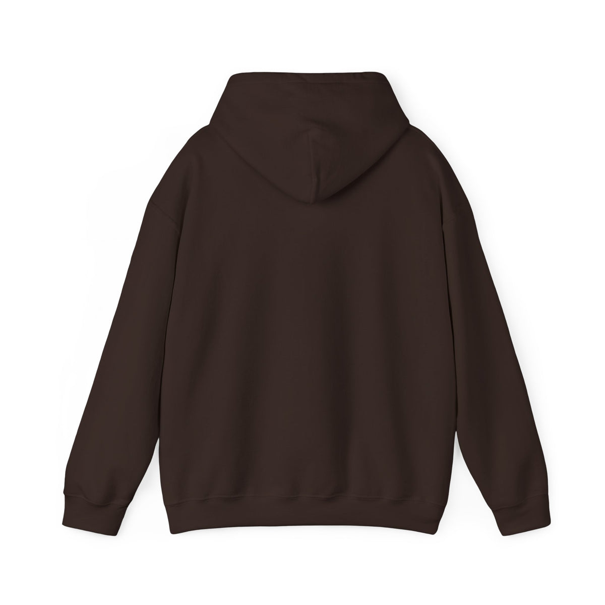 Aesthetic Website Designs Hoody