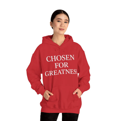 Chosen For Greatness Awakening Righteousness Hoody Apparel For Men and Women