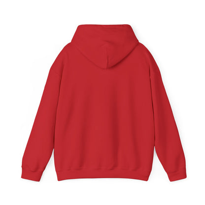 Discipline Awakening Aesthetics Hooded Sweatshirt - Awakening Righteousness