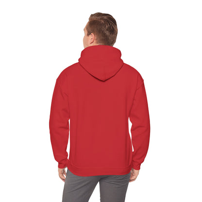 Train With Purpose Aesthetics Bodybuilding Hoodie - Awakening Righteousness
