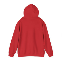 Awakening Aesthetics Gym Hoodie for Men & Women | Athletic Pullover with Kangaroo Pocket | 50/50 Cotton-Poly Blend | Comfortable, Stylish & Ethically Made | Unisex Classic Fit
