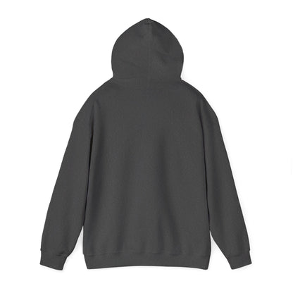 Rise Train Pray Repeat Awakening Righteousness Hoody For Men and Women - Awakening Righteousness