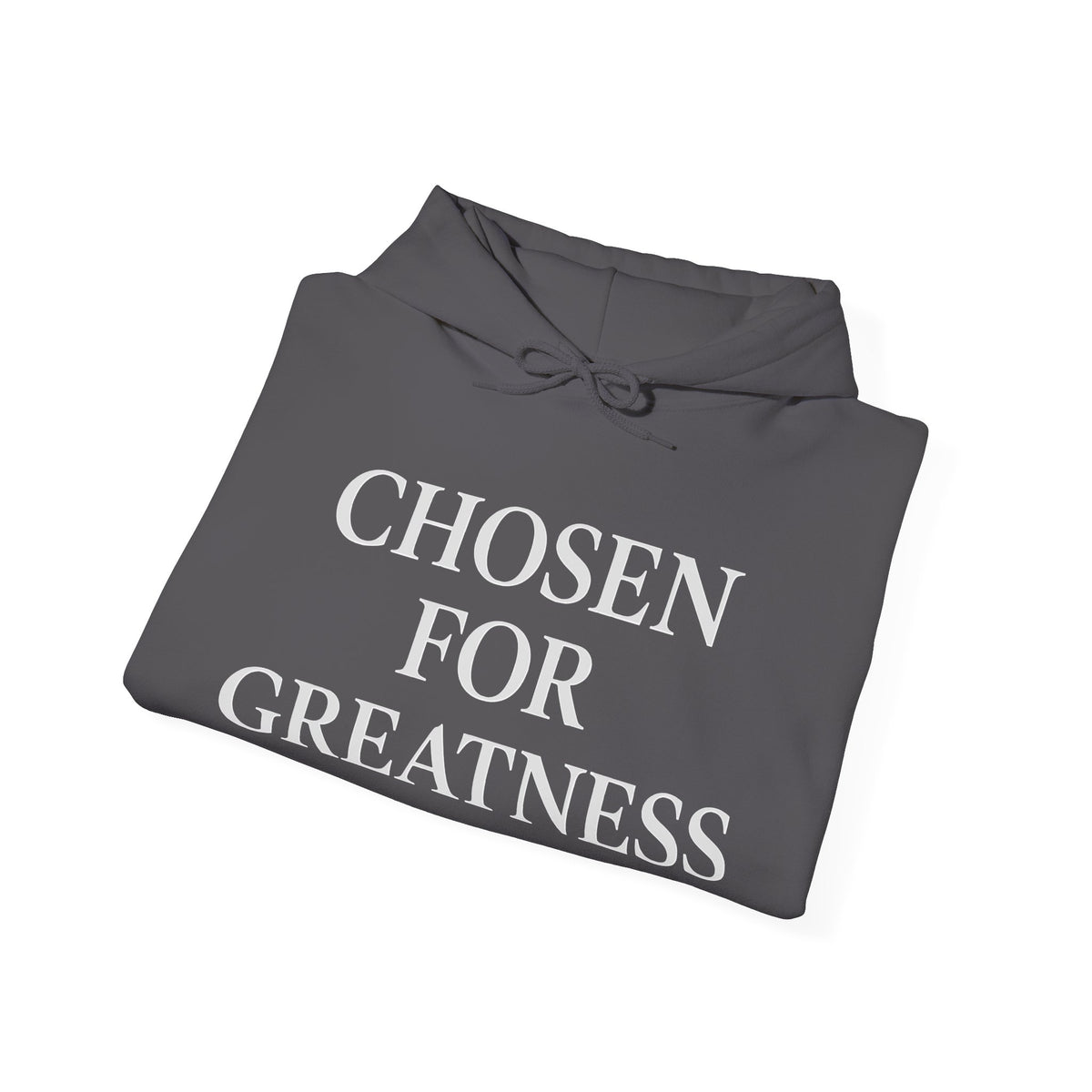 Chosen For Greatness Awakening Righteousness Hoody Apparel For Men and Women