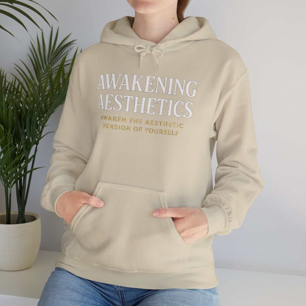 Awakening Aesthetics Bodybuilding Hoodie - Awakening Righteousness