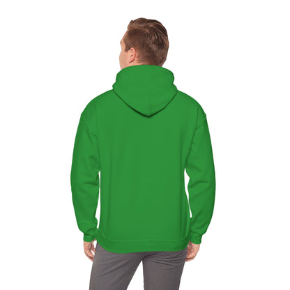 Aesthetic Website Designs Hoody