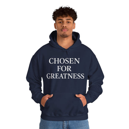 Chosen For Greatness Awakening Righteousness Hoody Apparel For Men and Women