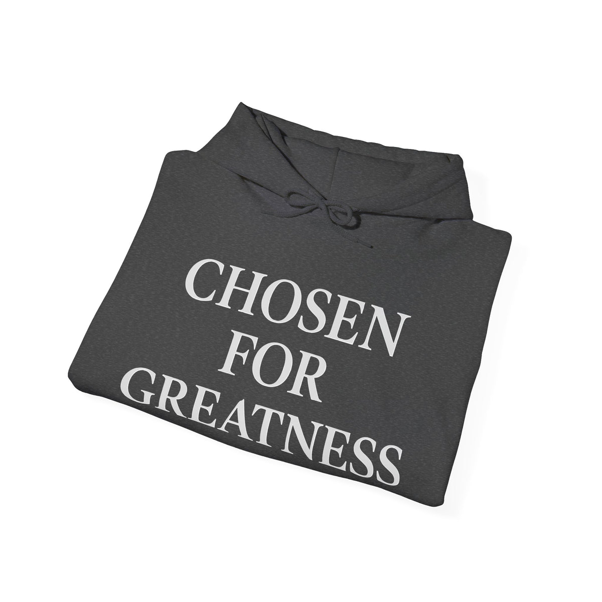 Chosen For Greatness Awakening Righteousness Hoody Apparel For Men and Women