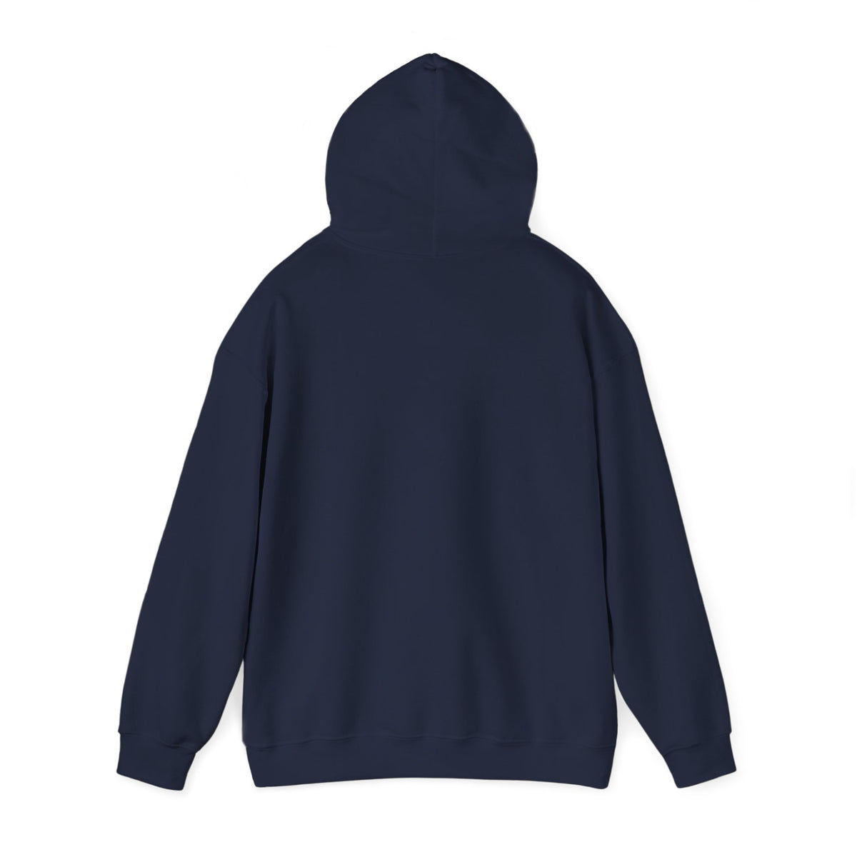 Discipline Awakening Aesthetics Hooded Sweatshirt - Awakening Righteousness