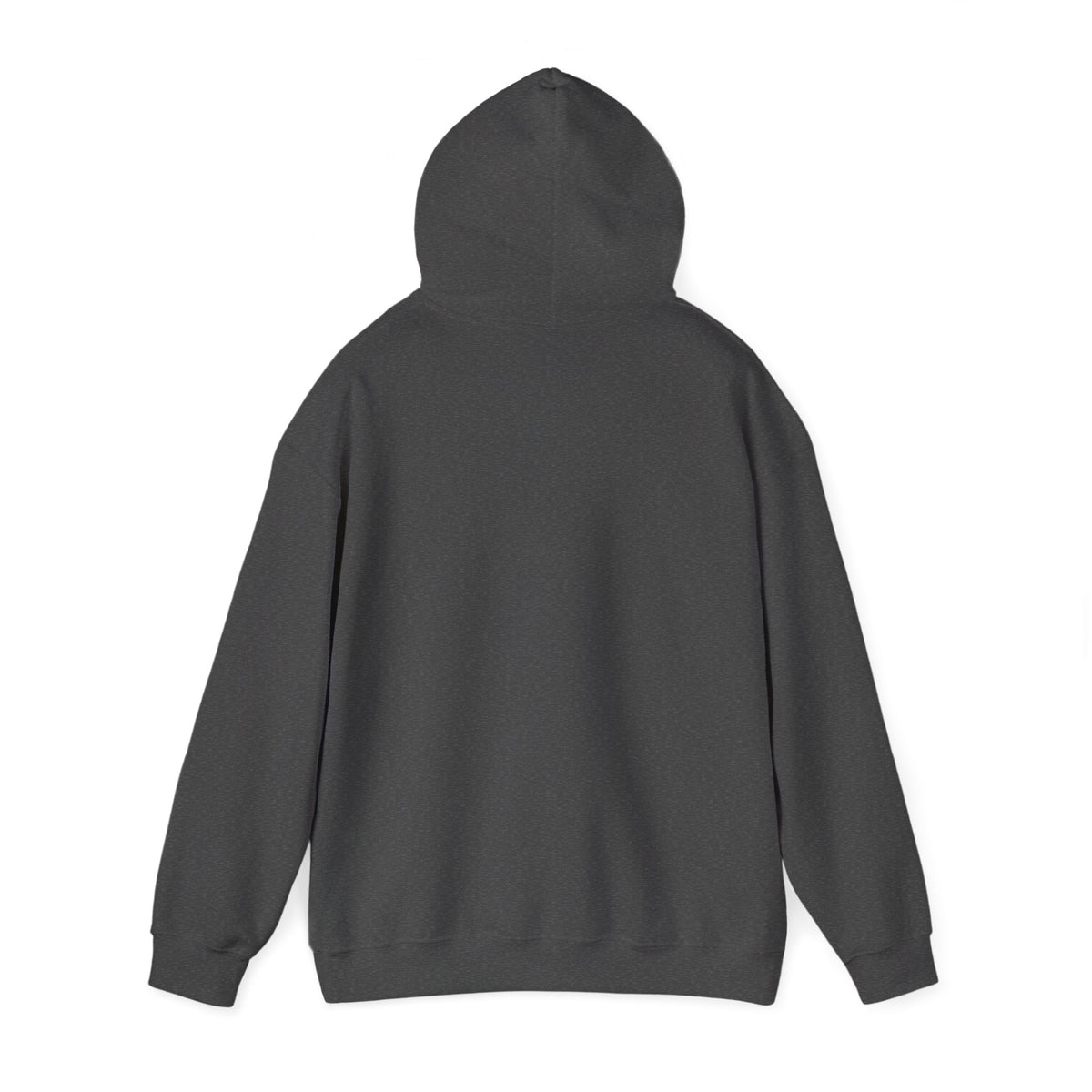 Awakening Aesthetics Bodybuilding Hoodie - Awakening Righteousness