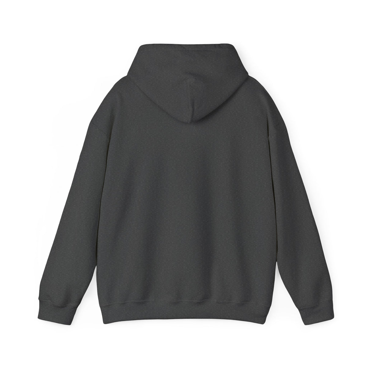 Discipline Awakening Aesthetics Hooded Sweatshirt - Awakening Righteousness