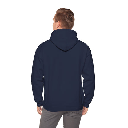 Awakening Aesthetics Bodybuilding Hoodie - Awakening Righteousness
