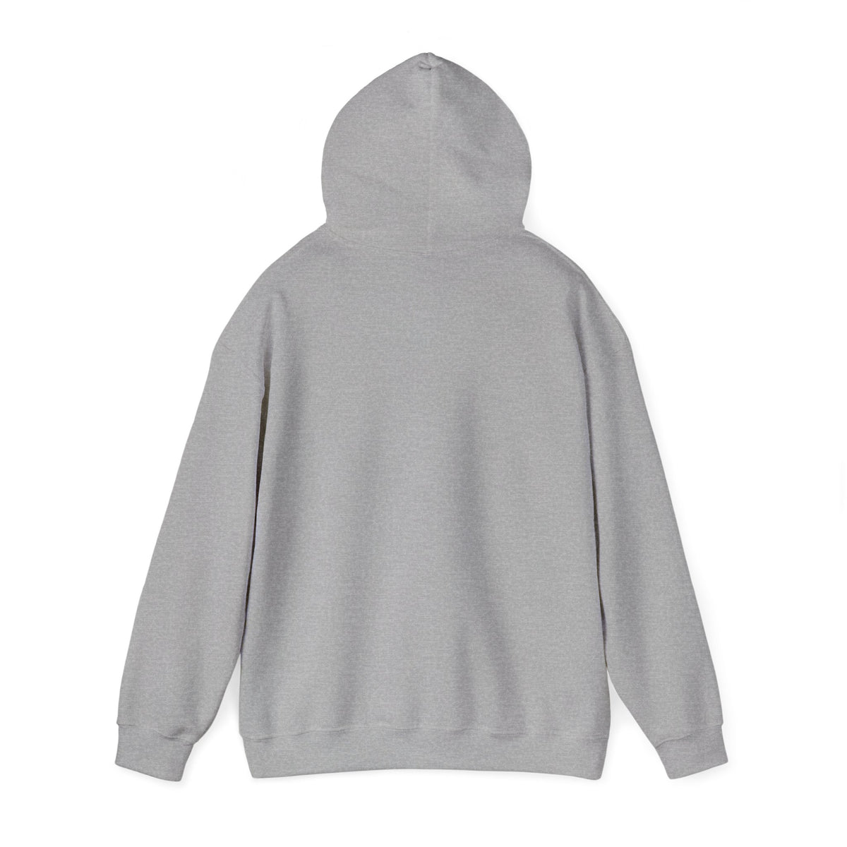 Built In His Image Awakening Righteousness Hoody Apparel For Men and Women