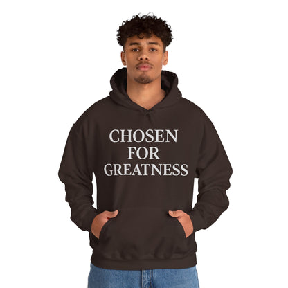 Chosen For Greatness Awakening Righteousness Hoody Apparel For Men and Women