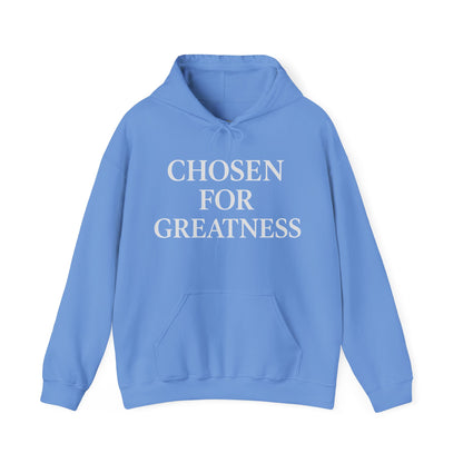 Chosen For Greatness Awakening Righteousness Hoody Apparel For Men and Women