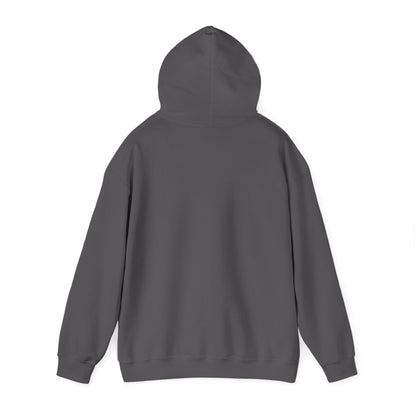 Train With Purpose Aesthetics Bodybuilding Hoodie - Awakening Righteousness