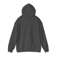 Awakening Aesthetics Gym Hoodie for Men & Women | Athletic Pullover with Kangaroo Pocket | 50/50 Cotton-Poly Blend | Comfortable, Stylish & Ethically Made | Unisex Classic Fit