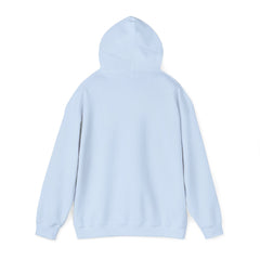 Awakening Aesthetics Gym Hoodie for Men & Women | Athletic Pullover with Kangaroo Pocket | 50/50 Cotton-Poly Blend | Comfortable, Stylish & Ethically Made | Unisex Classic Fit