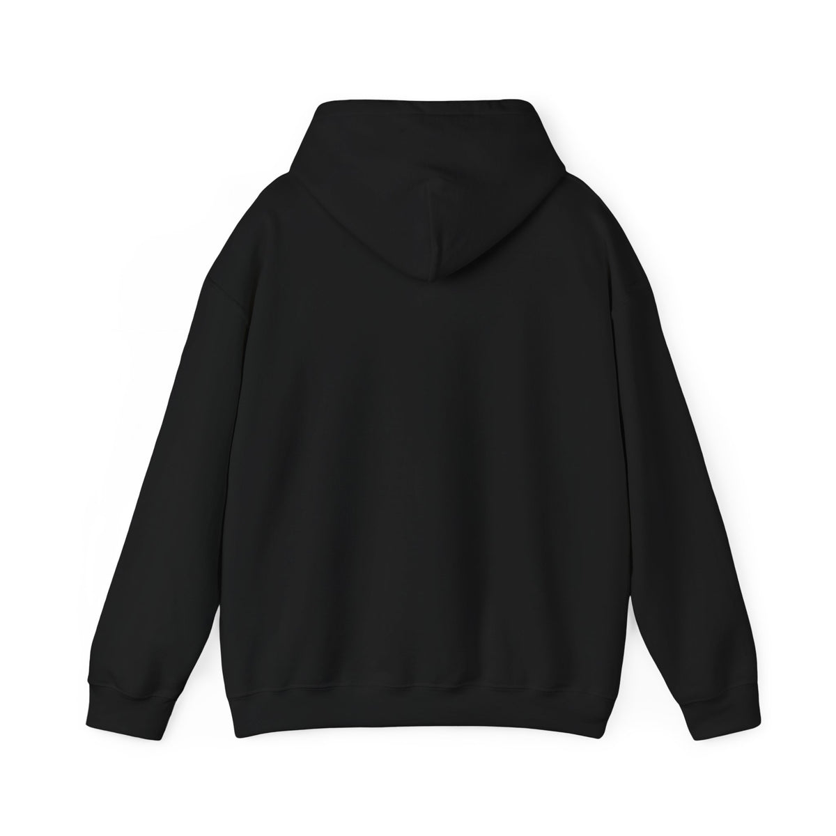 Aesthetic Website Designs Hoody