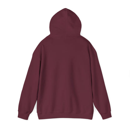 Discipline Awakening Aesthetics Hooded Sweatshirt - Awakening Righteousness