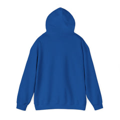 Awakening Aesthetics Gym Hoodie for Men & Women | Athletic Pullover with Kangaroo Pocket | 50/50 Cotton-Poly Blend | Comfortable, Stylish & Ethically Made | Unisex Classic Fit