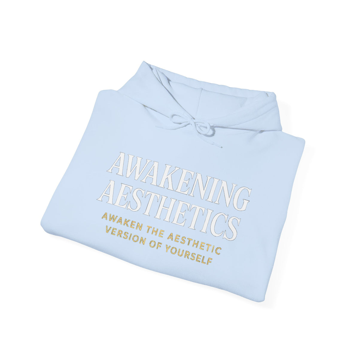 Awakening Aesthetics Bodybuilding Hoodie - Awakening Righteousness