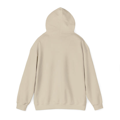 Aesthetic Website Designs Hoody