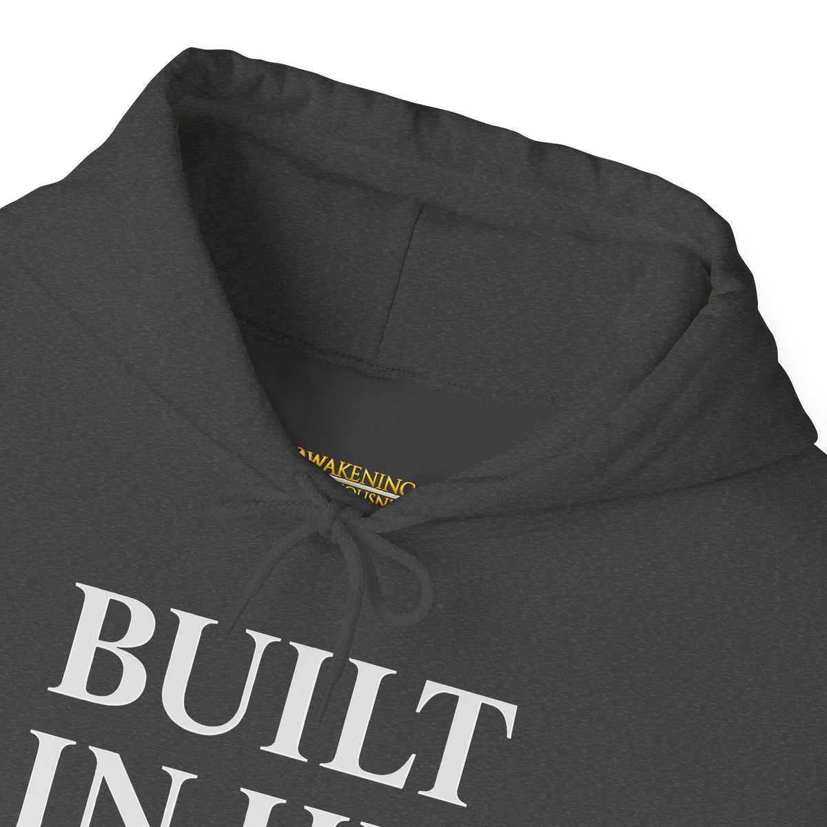 Built In His Image Awakening Righteousness Hoody Apparel For Men and Women