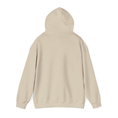 Awakening Aesthetics Gym Hoodie for Men & Women | Athletic Pullover with Kangaroo Pocket | 50/50 Cotton-Poly Blend | Comfortable, Stylish & Ethically Made | Unisex Classic Fit