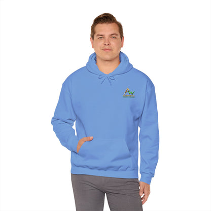 Aesthetic Website Designs Hoody