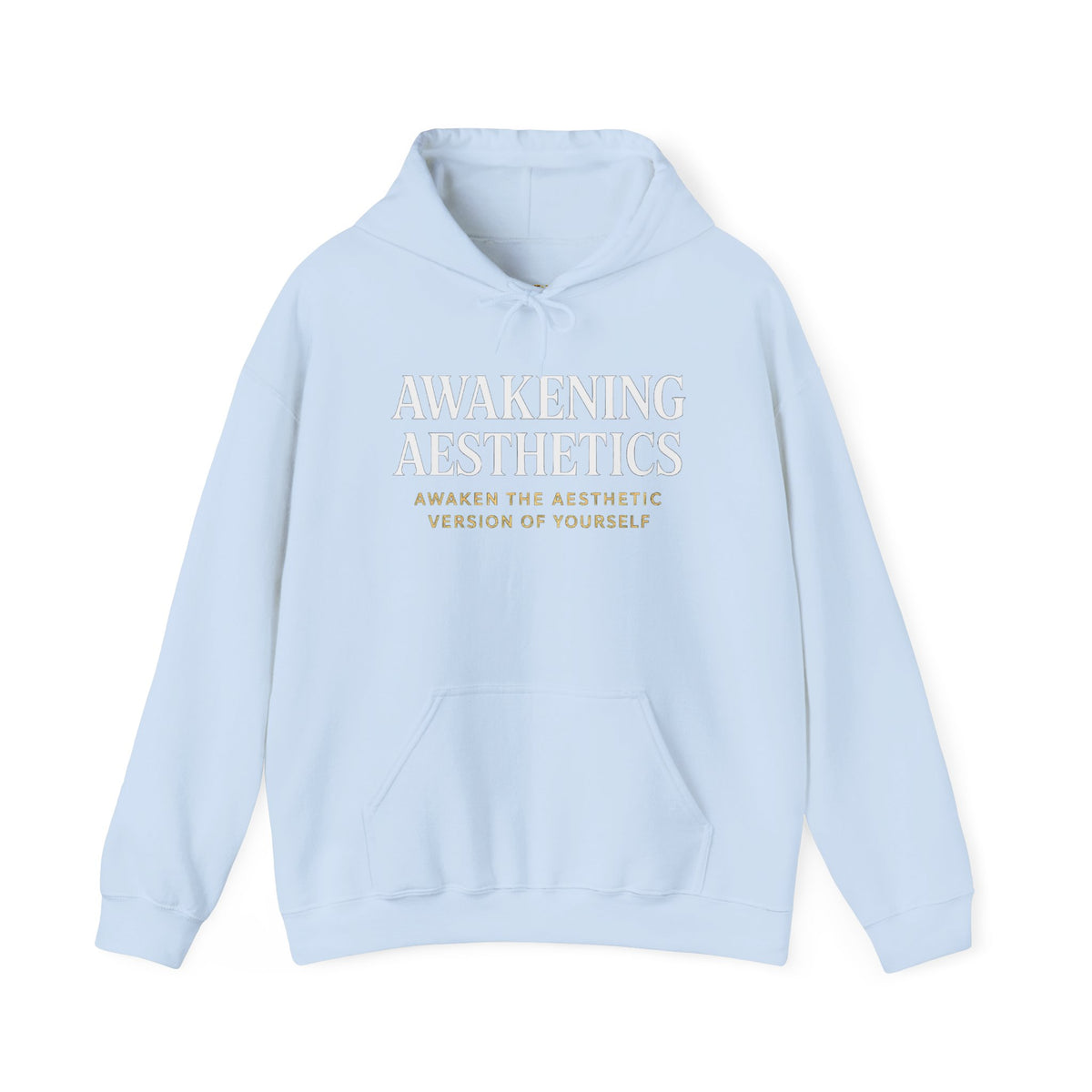 Awakening Aesthetics Bodybuilding Hoodie - Awakening Righteousness
