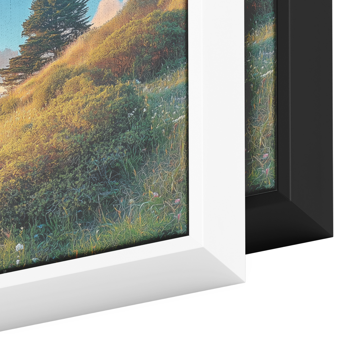 Daytime_Skyline_of_San_Francisco_Golden__Framed_Canvas_H_Panoramic_Color_Options_Mockup.png