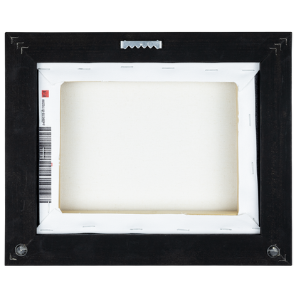 Panoramic_Sun_Moon_Circuits_Above_Flat_E_Framed_Canvas_H_Panoramic_Hardware_Mockup.png