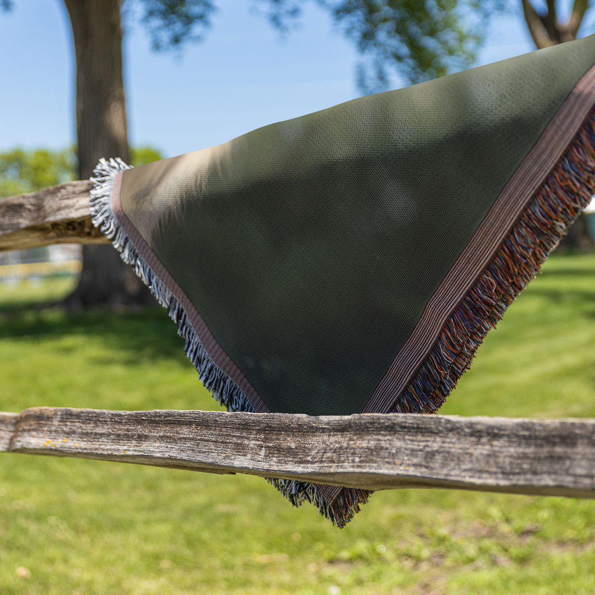 Stylized_Tiger_Cub_With_Blue_Eyes_Holdin_Fence_H_Mockup.png_15329715