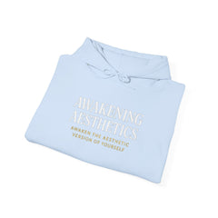 Awakening Aesthetics Gym Hoodie for Men & Women | Athletic Pullover with Kangaroo Pocket | 50/50 Cotton - Poly Blend | Comfortable, Stylish & Ethically Made | Unisex Classic Fit - AWAKENING AESTHETICS