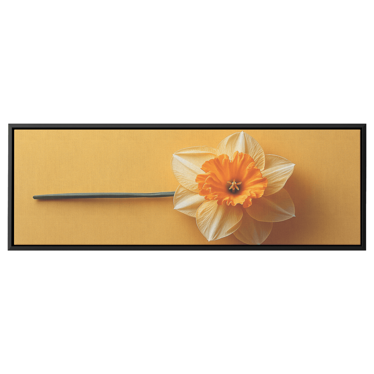 Minimalist Single Stem Floral Artwork Daffodil Thin Stem Pastel Yellow Background Ultra High Definition Hyper Detailed Minimalism Panoramic Framed Canvas Wall Art - Awakening Righteousness