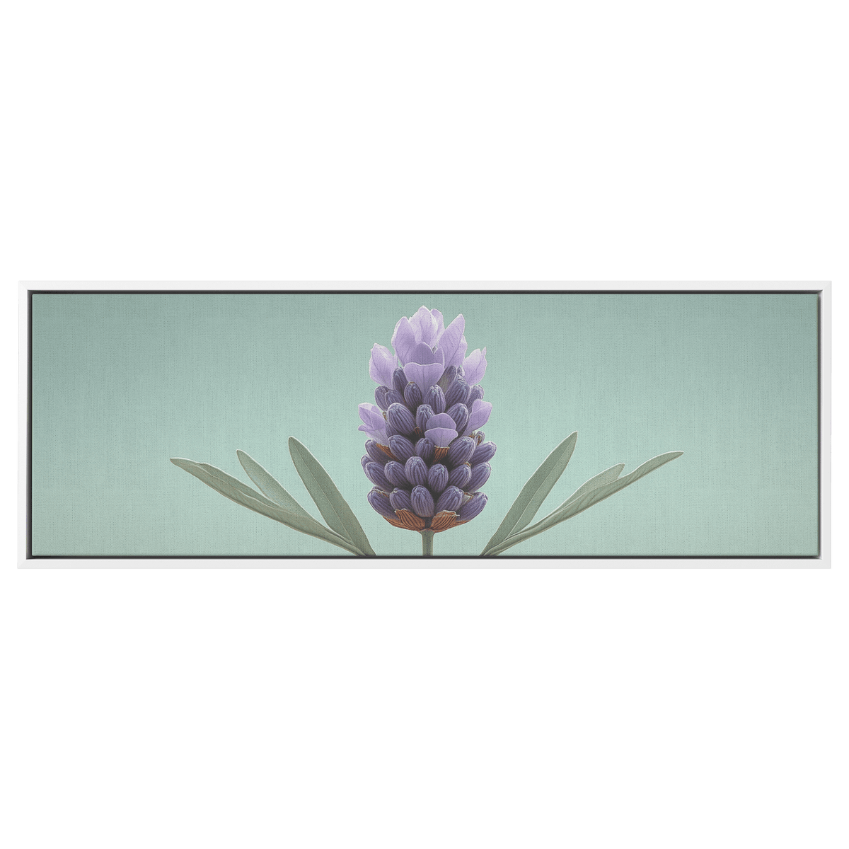 Minimalist Single Stem Floral Artwork Lavender Simple Linework Soft Green Background Elegant Minimalism Ultra High Definition Panoramic Framed Canvas Wall Art - Awakening Righteousness