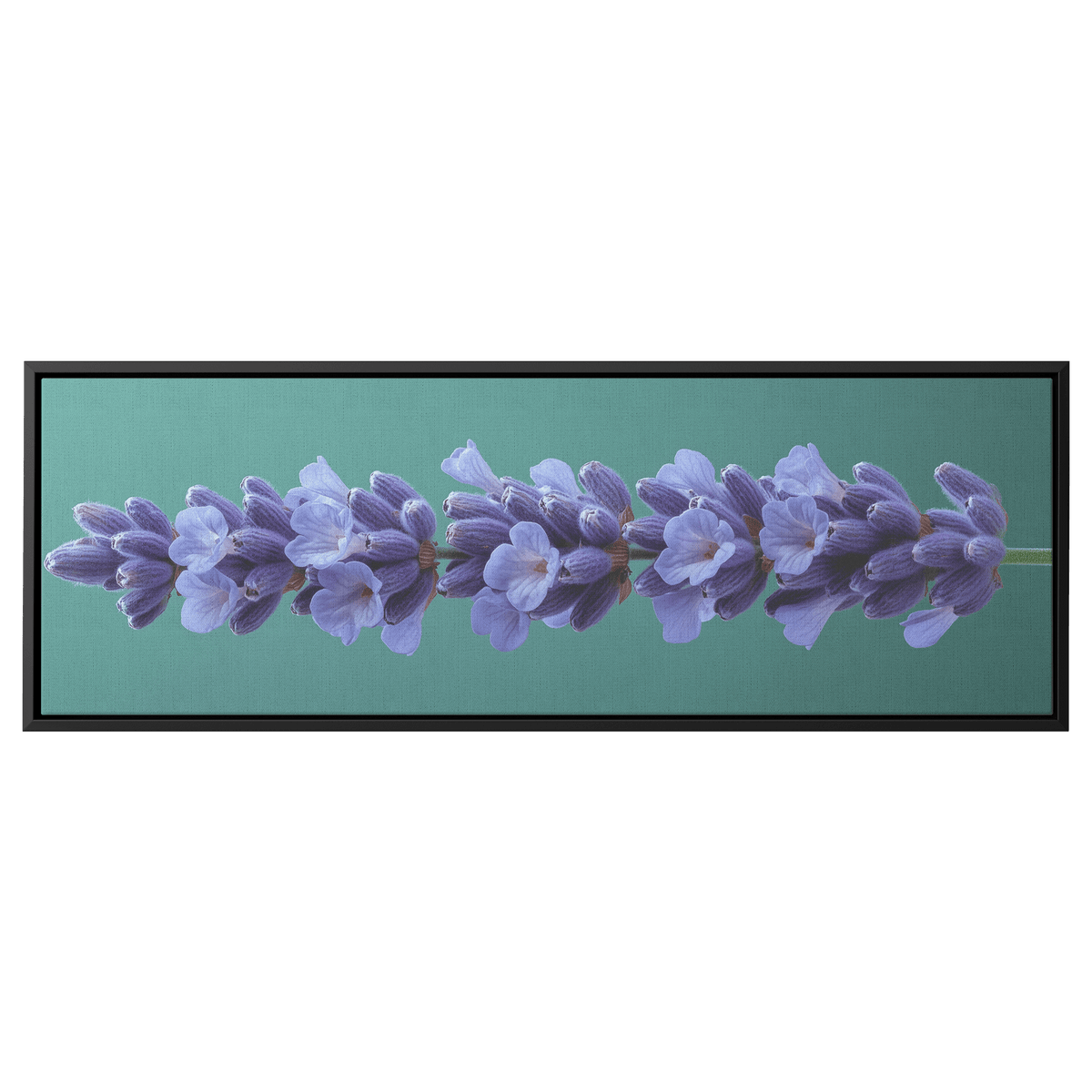 Minimalist Single Stem Floral Artwork Lavender Simple Linework Soft Green Background Elegant Minimalism Ultra High Definition Panoramic Framed Canvas Wall Art - Awakening Righteousness