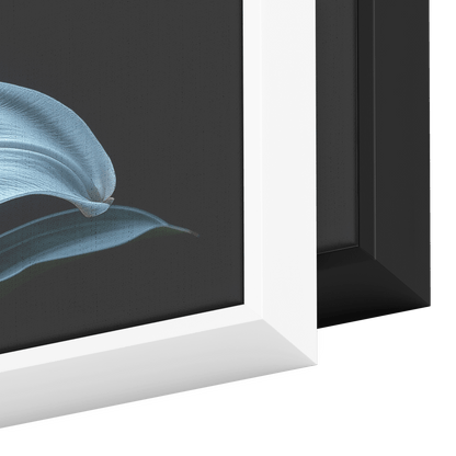 Minimalist Single Stem Floral Artwork Lily Neutral Tones Solid Black Background Clean Elegant Ultra High Definition Panoramic Framed Canvas Wall Art - Awakening Righteousness