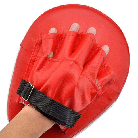 Image of Kick Boxing Gloves Pad Punch