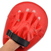 Kick Boxing Gloves Pad Punch