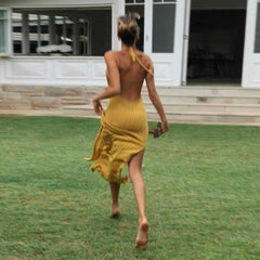 Halter  Backless Knitted See Through Long Beachwear  Split Dress