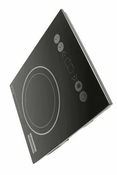 Electric Induction Range Cooking
