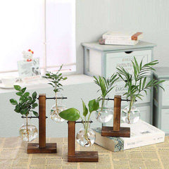 Terrarium Hydroponic Plant Vases