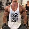 No Pain No Gain Aesthetic Bodybuilding Stringer Tank Top