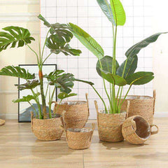 Handmade Seagrass Plant Pot Basket