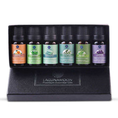 10ML Pure Essential Oil Humidifier Aromatherapy 6pcs Gift Set