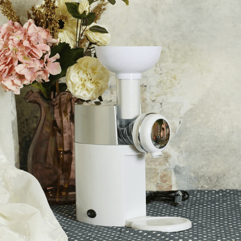 Fruit To Dessert Ice Cream Milkshake Maker Machine