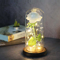 Red Rose In A Glass Dome With LED Light