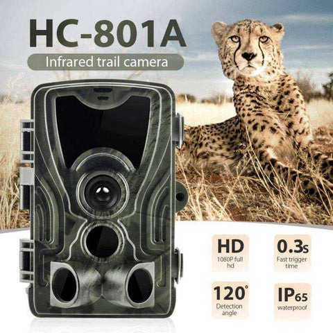 Image of HD Recording Hunting Waterproof Trail Camera