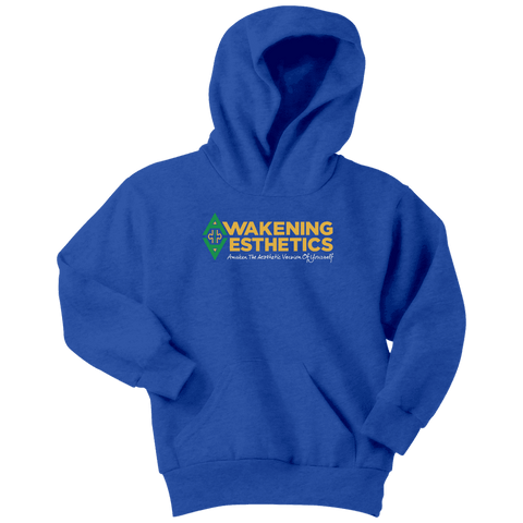 Image of Kids Awakening Aesthetics Youth Hoodie Sweater